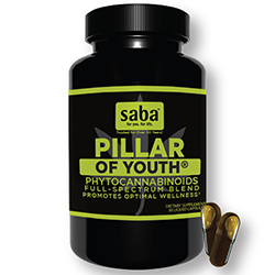 Saba pillar of youth 2