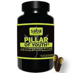 Saba Pillar of Youth